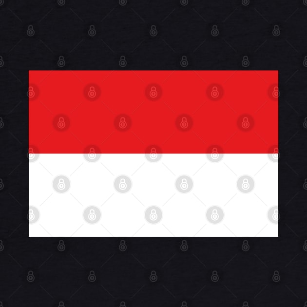 Flag of Indonesia by DiegoCarvalho